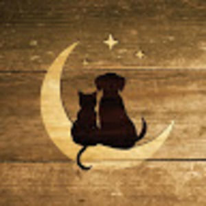 Meet your Posher, Gemma